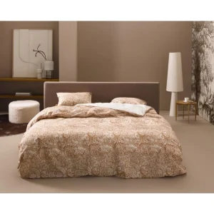 ESSENZA HOME Essenza Halle Bettwäsche-Set – 135×200 / 80×80 Cm – Cashew 7